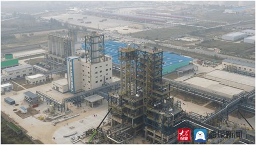 菏澤市領導帶隊三天密集觀摩，11區縣65個重點項目展現發展新動能